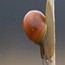 thumbs/IMG_4691.jpg